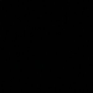 Meet your Posher, Kaitlin